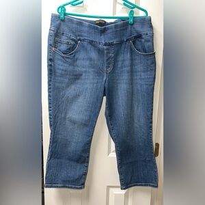 Lee Styleup Women's Blue Medium Wash Denim  Slim Fit Sculpting Mid Rise  Size 18